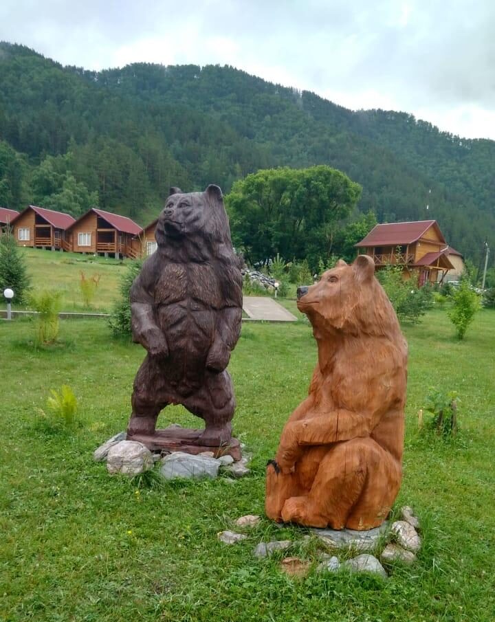Медведи в Горном Источнике